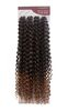 imagem do produto  Cabelo cacheado percific curl crochet braid 300g 65cm