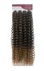 imagem do produto  Cabelo cacheado percific curl crochet braid 300g 65cm