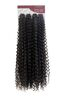 imagem do produto  Cabelo cacheado percific curl crochet braid 300g 65cm