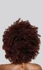 imagem do produto  Peruca Wig Orgnica Black Cacheada Agatha 